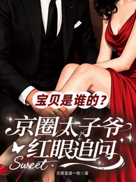 宝贝是谁的?京圈太子爷红眼追问 封面