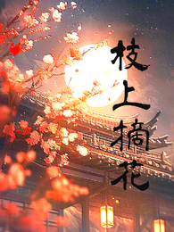 枝上摘花 封面