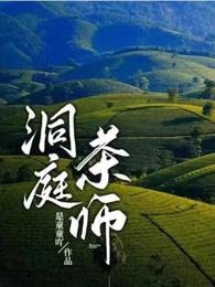 洞庭茶师 封面