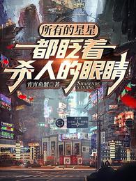 所有的星星都眨着杀人的眼睛 封面