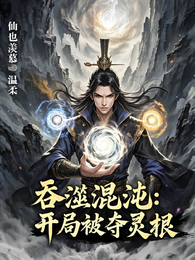 吞噬混沌:开局被夺灵根 封面