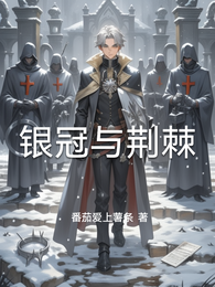 银冠与荆棘 封面