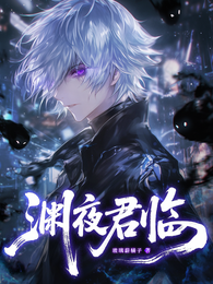 渊夜君临 封面