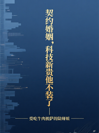 契约婚姻,科技新贵他不装了 封面