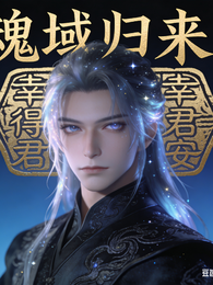 魂域归来:幸得君安 封面