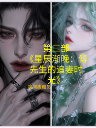 星辰渐晚:傅先生的追妻时光 封面