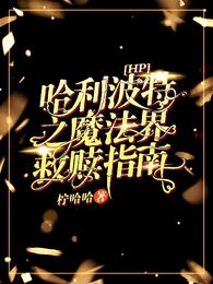 HP哈利波特之魔法界救赎指南 封面