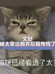 文野：被太宰治抛弃后我殉情了 封面