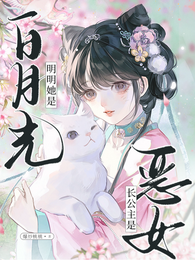 长公主是恶女？明明她是白月光 封面