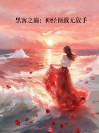 黑客之巅:神经预载无敌手 封面