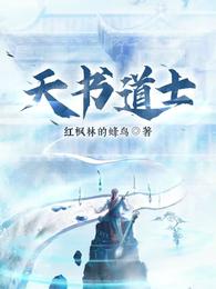 天书道士 封面