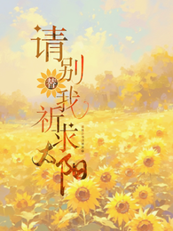 请别替我祈求太阳 封面