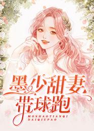 墨少甜妻带球跑 封面