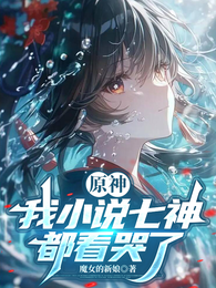 原神，我小说七神都看哭了 封面