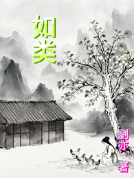 如类 封面