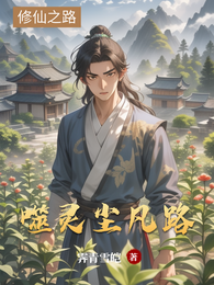 噬灵尘凡路 封面