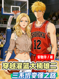 穿越灌篮大楠雄二：三系统变强 封面