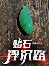 赌石浮沉路 封面