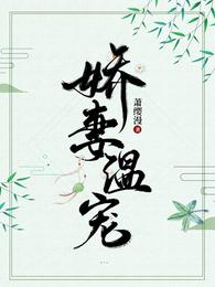 娇妻温宠 封面