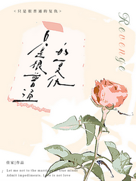 只是很普通的复仇 封面