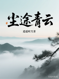 尘途青云 封面