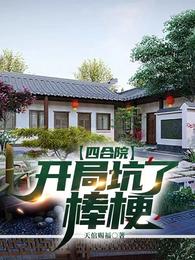 四合院，开局坑了棒梗 封面