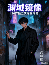 渊域镜像 封面