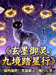 玄墨御灵:九境踏星行 封面