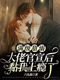满级甜溺：大佬官宣后黏我上瘾了 封面