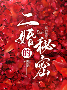 二婚的秘密 封面