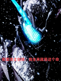 假面骑士：我生来就是这个命 封面