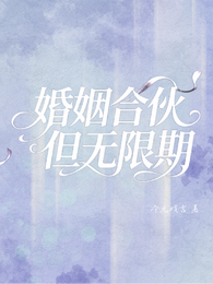 婚姻合伙但无限期 封面