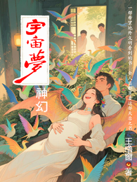 神幻宇宙梦王橹窗著 封面