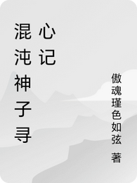 混沌神子寻心记 封面