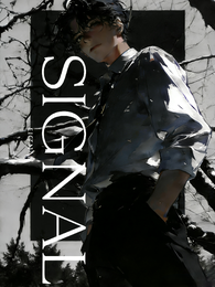 SIGNAL 封面