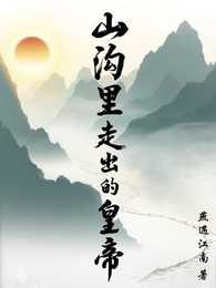 山沟里走出的皇帝 封面