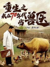 重生之我在70年代当兽医 封面