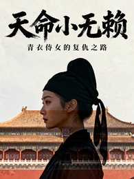 天命小无赖 封面