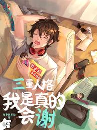 三重人格我是真的会谢 封面