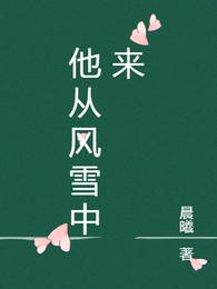 他从风雪中来 封面
