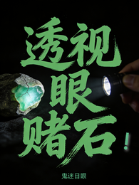 透视眼赌石！ 封面