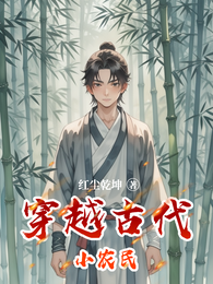 穿越古代小农民 封面