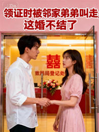 领证时被邻家弟弟叫走这婚不结了 封面