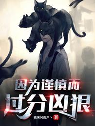 因为谨慎而过分凶狠 封面
