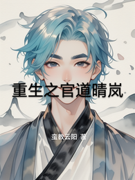 重生之官道晴岚 封面
