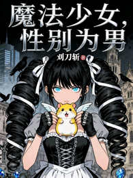 魔法少女，性别为男 封面