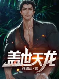 盖世天龙 封面
