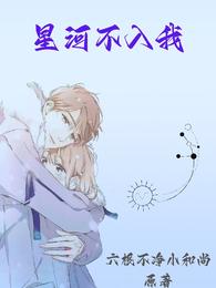 星河不入我 封面