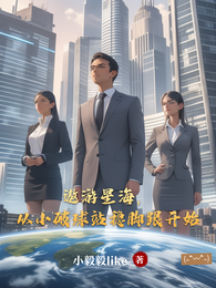 遨游星海，从小破球站稳脚跟开始 封面