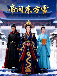 帝阙东方雪 封面
